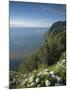 Coastline at Miradouro de Sossego Viewpoint, Sao Miguel Island, Azores, Portugal-Alan Copson-Mounted Photographic Print