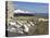 Coastline at Seven Sisters, Hope Cove, Near Seaford, East Sussex, England, United Kingdom, Europe-Jean Brooks-Stretched Canvas