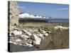 Coastline at Seven Sisters, Hope Cove, Near Seaford, East Sussex, England, United Kingdom, Europe-Jean Brooks-Stretched Canvas