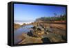 Coastline at Shore Aceres State Park, Oregon, USA-Craig Tuttle-Framed Stretched Canvas