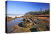 Coastline at Shore Aceres State Park, Oregon, USA-Craig Tuttle-Stretched Canvas