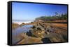 Coastline at Shore Aceres State Park, Oregon, USA-Craig Tuttle-Framed Stretched Canvas