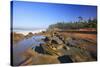 Coastline at Shore Aceres State Park, Oregon, USA-Craig Tuttle-Stretched Canvas