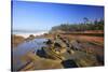 Coastline at Shore Aceres State Park, Oregon, USA-Craig Tuttle-Stretched Canvas