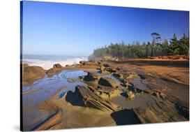 Coastline at Shore Aceres State Park, Oregon, USA-Craig Tuttle-Stretched Canvas