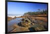 Coastline at Shore Aceres State Park, Oregon, USA-Craig Tuttle-Framed Photographic Print