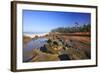 Coastline at Shore Aceres State Park, Oregon, USA-Craig Tuttle-Framed Photographic Print