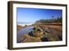 Coastline at Shore Aceres State Park, Oregon, USA-Craig Tuttle-Framed Photographic Print