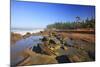 Coastline at Shore Aceres State Park, Oregon, USA-Craig Tuttle-Mounted Photographic Print