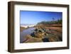 Coastline at Shore Aceres State Park, Oregon, USA-Craig Tuttle-Framed Photographic Print