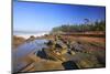 Coastline at Shore Aceres State Park, Oregon, USA-Craig Tuttle-Mounted Photographic Print