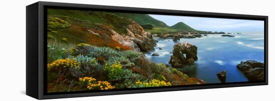 Coastline, Garrapata State Park, Monterey, California, USA-null-Framed Stretched Canvas