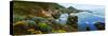 Coastline, Garrapata State Park, Monterey, California, USA-null-Stretched Canvas