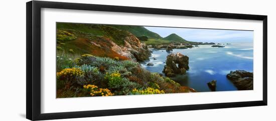 Coastline, Garrapata State Park, Monterey, California, USA-null-Framed Photographic Print