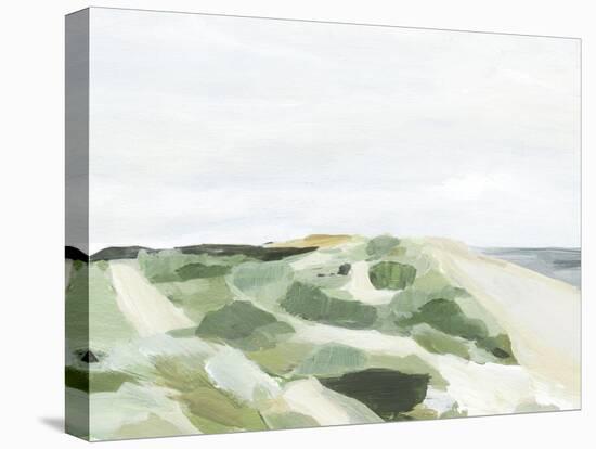 Coastline Greenery I-Annie Warren-Stretched Canvas