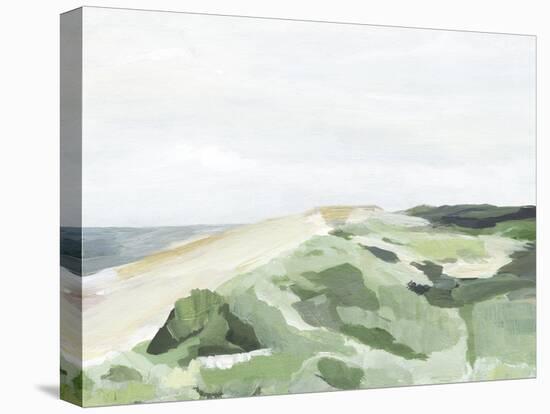 Coastline Greenery II-Annie Warren-Stretched Canvas