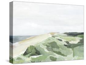 Coastline Greenery II-Annie Warren-Stretched Canvas