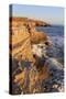 Coastline in Cabrillo National Monument-Richard Cummins-Stretched Canvas