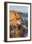 Coastline in Cabrillo National Monument-Richard Cummins-Framed Photographic Print