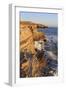 Coastline in Cabrillo National Monument-Richard Cummins-Framed Photographic Print