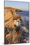 Coastline in Cabrillo National Monument-Richard Cummins-Mounted Photographic Print