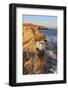 Coastline in Cabrillo National Monument-Richard Cummins-Framed Photographic Print