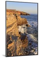 Coastline in Cabrillo National Monument-Richard Cummins-Mounted Photographic Print