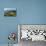 Coastline Looking North Towards Coromandel and Hauraki Gulf-Stuart-Photographic Print displayed on a wall