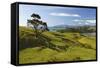 Coastline Looking North Towards Coromandel and Hauraki Gulf-Stuart-Framed Stretched Canvas