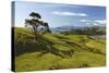 Coastline Looking North Towards Coromandel and Hauraki Gulf-Stuart-Stretched Canvas