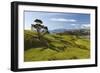 Coastline Looking North Towards Coromandel and Hauraki Gulf-Stuart-Framed Photographic Print