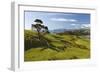 Coastline Looking North Towards Coromandel and Hauraki Gulf-Stuart-Framed Photographic Print