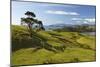 Coastline Looking North Towards Coromandel and Hauraki Gulf-Stuart-Mounted Photographic Print