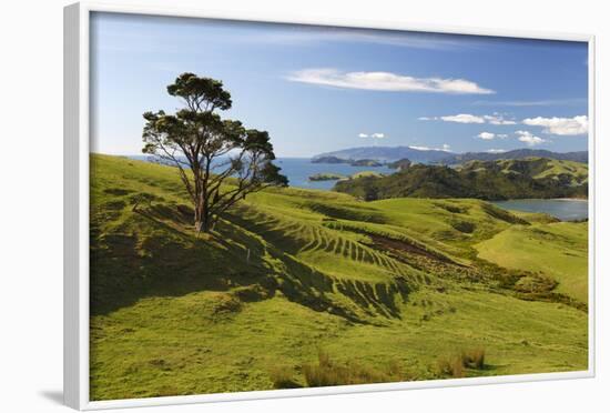 Coastline Looking North Towards Coromandel and Hauraki Gulf-Stuart-Framed Photographic Print