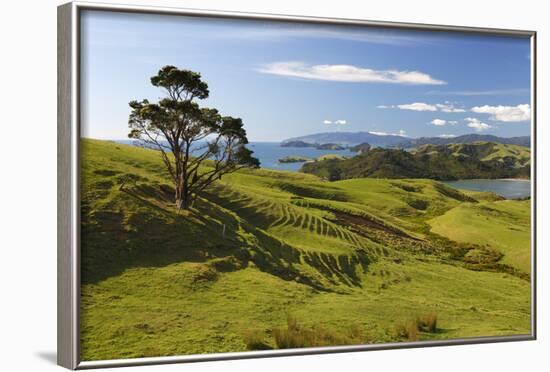 Coastline Looking North Towards Coromandel and Hauraki Gulf-Stuart-Framed Photographic Print