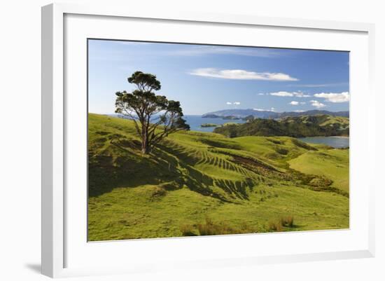 Coastline Looking North Towards Coromandel and Hauraki Gulf-Stuart-Framed Photographic Print