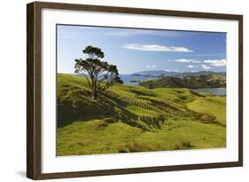 Coastline Looking North Towards Coromandel and Hauraki Gulf-Stuart-Framed Photographic Print