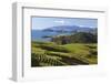 Coastline Looking North Towards Coromandel and Hauraki Gulf-Stuart-Framed Photographic Print