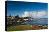 Coastline, Monterey Bay, Monterey, California, USA-null-Stretched Canvas