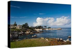 Coastline, Monterey Bay, Monterey, California, USA-null-Stretched Canvas