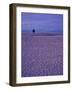 Coastline near Old Town Nice, France-Connie Ricca-Framed Photographic Print