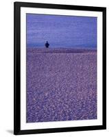 Coastline near Old Town Nice, France-Connie Ricca-Framed Photographic Print