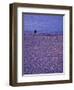 Coastline near Old Town Nice, France-Connie Ricca-Framed Photographic Print