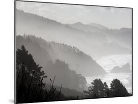 Coastline Near Seaside, Oregon, United States of America, North America-DeFreitas Michael-Mounted Premium Photographic Print