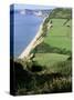 Coastline Near Sidmouth, Devon, England, United Kingdom-Cyndy Black-Stretched Canvas