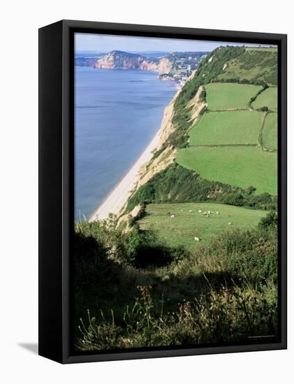 Coastline Near Sidmouth, Devon, England, United Kingdom-Cyndy Black-Framed Stretched Canvas