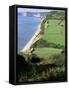 Coastline Near Sidmouth, Devon, England, United Kingdom-Cyndy Black-Framed Stretched Canvas