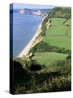 Coastline Near Sidmouth, Devon, England, United Kingdom-Cyndy Black-Stretched Canvas