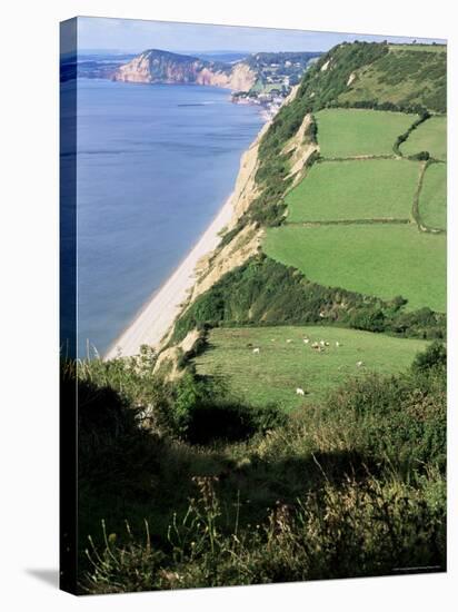 Coastline Near Sidmouth, Devon, England, United Kingdom-Cyndy Black-Stretched Canvas