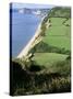 Coastline Near Sidmouth, Devon, England, United Kingdom-Cyndy Black-Stretched Canvas